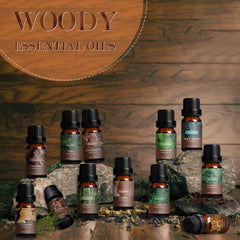 SALKING Woodsy oils set diffuser demonstrates room-filling aromatherapy