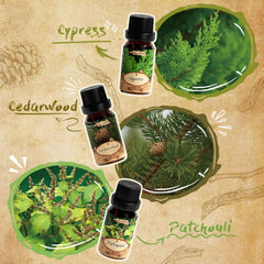 SALKING Cypress bottle for fresh, uplifting diffuser moments
