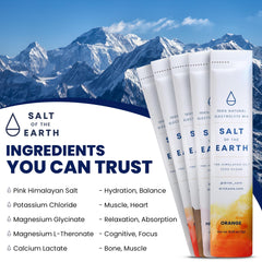Salt of the Earth orange electrolyte drink in a glass, refreshing hydration.