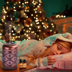 Salubrito aceites otoño snickerdoodle: toque dulce ideal para difusor y velas aromáticas.