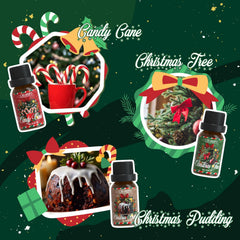 Salubrito Christmas Pudding oil for warm, comforting holiday scent