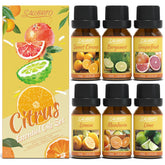 Salubrito Citrus Oils Set diffuser bottle enhances ambiance in any room