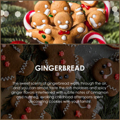 Salubrito Gingerbread diffuser showcasing warm spicy aroma
