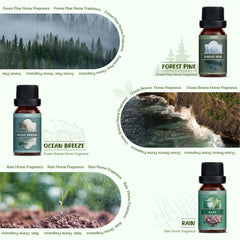 Salubrito Nature Rain oil delivering a fresh indoor atmosphere for calm focus.