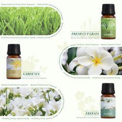 Salubrito ocean breeze fragrance oil creates uplifting coastal vibes