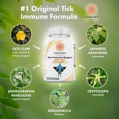 Closeup of Samsara Tick Immune capsules for daily use and potency.