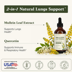 Sandhu's Mullein Drops bottle-with-dropper for easy dosing