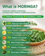 SANSICE Moringa Leaf Extract liquid drops in amber bottle support daily vitality.