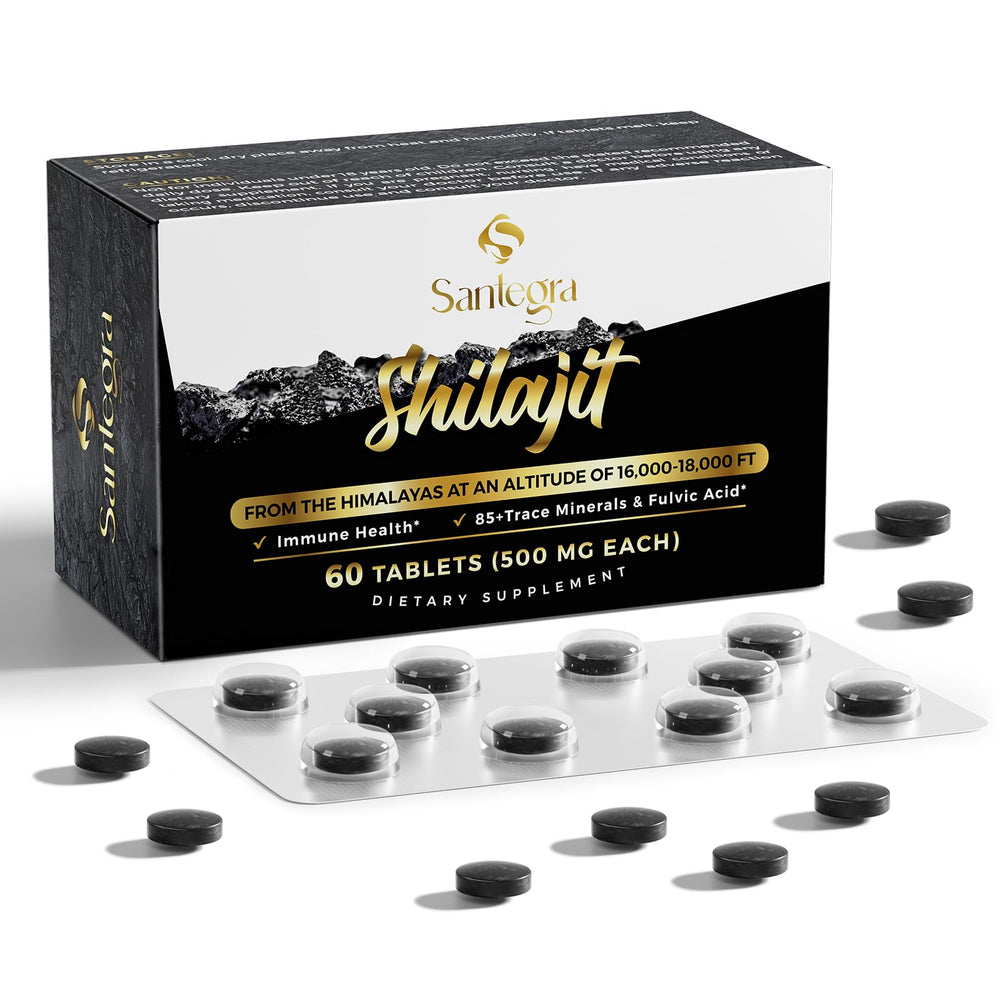 Santegra Shilajit tablets 500mg bottle front, easy daily energy support