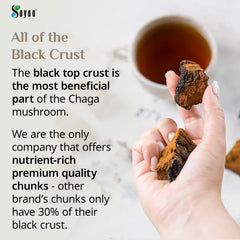 Sayan Siberian Chaga chunks dried to 14 percent humidity for freshness