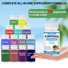 SCOLA ashwagandha and L-Theanine blend promoting natural relaxation.