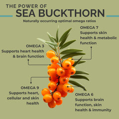 SeabuckWonders origin on the Tibetan Plateau farm ensuring purity.