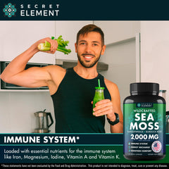 Secret Element sea moss capsules ingredients featuring bladderwrack for balanced nutrients