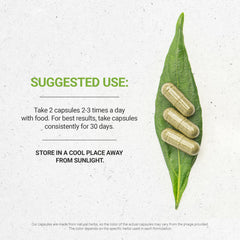 Secrets of the Tribe Self Heal capsules closeup—pure herbal contents for daily use.