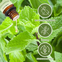 Sedbuwza difusor con aceites para perfumar ambientes