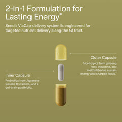 Seed AM-02 Energy Focus daily-use scene in morning routine.