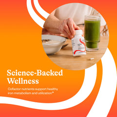 Graphic emphasizes digestive enzymes aiding absorption during digestion