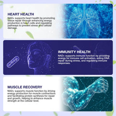 SHAPEINGIRL NAD capsules close-up emphasizing premium ingredients