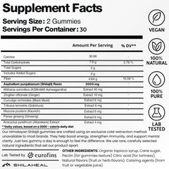 SHILAHEAL Shilajit Gummies close-up highlights fulvic acid content