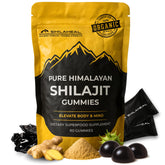 SHILAHEAL Shilajit Gummies bottle showing daily energy support