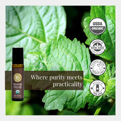 Silk Road Organic Patchouli scent with wood and spice notes for soothing rituals.