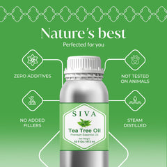 Siva Tea Tree Oil in diffuser creating a refreshing room scent