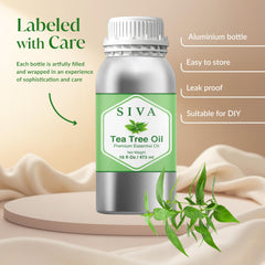 Siva Tea Tree Oil for hair and scalp massage with proper dilution