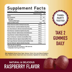 SMNutrition gummies adult-serving bottle view may fit into daily wellness routine.