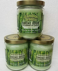 Smoke Odor Exterminator Bamboo Breeze jar candle in living room, delivers fresh scent and odor control.