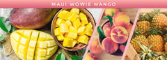 Smoke Odor Exterminator Maui Wowie Mango jar candle fragrance diffusion reduces smoke and pet odors at home