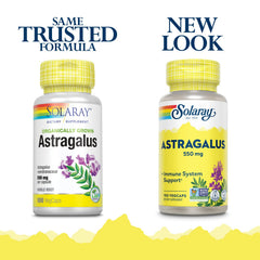 SOLARAY capsules close-up highlighting plant-based adaptogen for stress resilience.