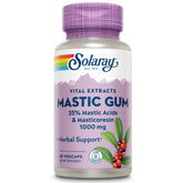 SOLARAY Mastic Gum Extract capsules bottle highlight, offering digestive support with natural resin.