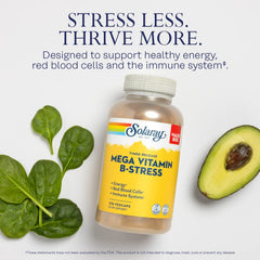 SOLARAY Mega Vitamin B-Stress pills emphasizes compact capsules for daily use.