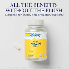 SOLARAY No Flush Niacin capsules ready for daily energy and metabolism support