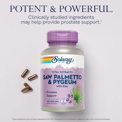 SOLARAY ingredients scene with pumpkin seeds, zinc and vitamin B6 for daily wellness.