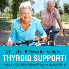Blend of herbs and cell salts illustrated for synergistic support.