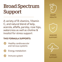 Solgar B-Complex packaging on kitchen counter, gluten-free and dairy-free vitamins.