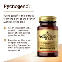 Solgar Pycnogenol 100 mg capsules for leg and vein support in daily wellness
