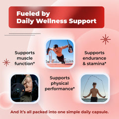 Sotalix maca root capsule highlighting endurance potential.