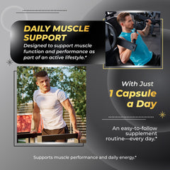 Sotalix Muscle Builder ingredient panel highlights eight premium components for performance nutrition