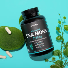 SPARTIS label reveals organic blend of Irish sea moss, bladderwrack, and burdock root