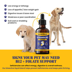 Special Breed Liquid B12 serving drops ready to mix with meals