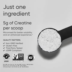 Sports Research Creatine Monohydrate scoop showing precise 5 g serving