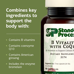 CoQ10 and B vitamin blend serving size visual for nutrition planning