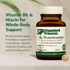 Standard Process B6-Niacinamide label shows gluten-free, non-dairy and non-soy attributes.