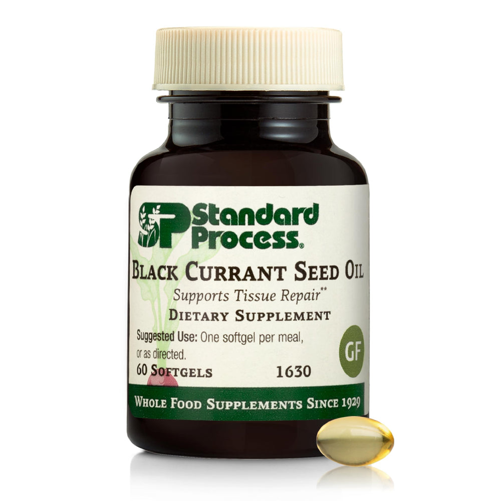 Standard Process Black Currant Seed Oil softgels close-up, daily tissue support.