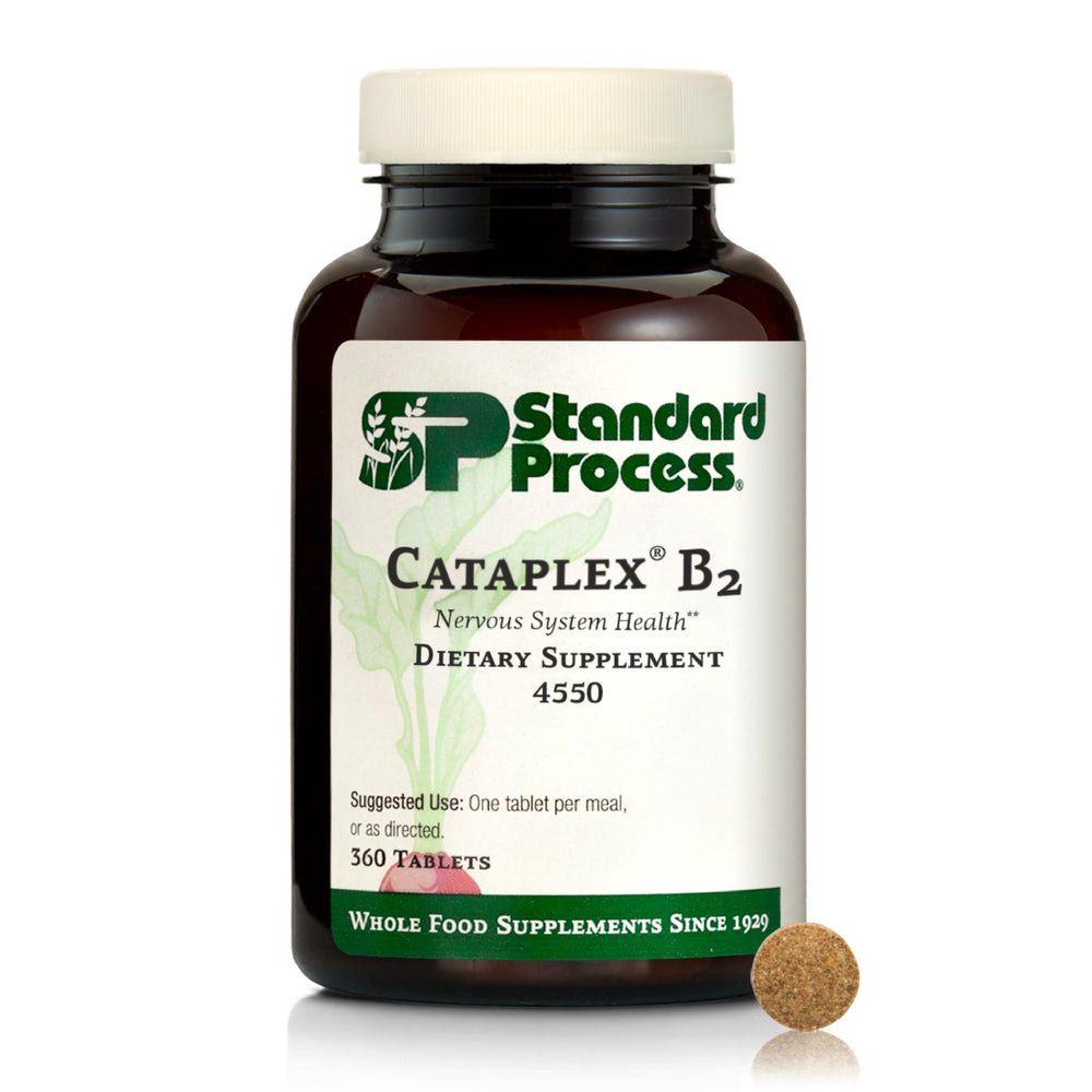 Standard Process Cataplex B2 bottle front showing brand and nervous system support potential.