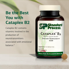 Standard Process Cataplex B2 tablets closeup illustrating daily supplement form.