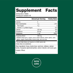 Standard Process Bio-Dent tablets closeup highlighting calcium-rich nutrition for teeth and bones.