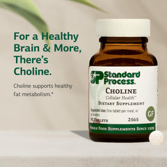 Close-up of Standard Process Choline 180 mg tablet, focus on texture and composition.